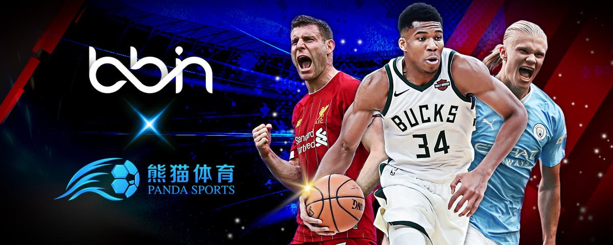亦在国家队